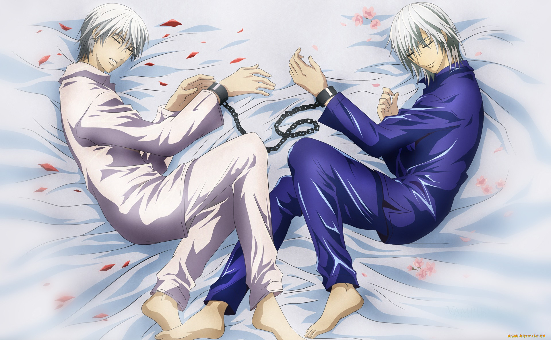 , vampire knight, 